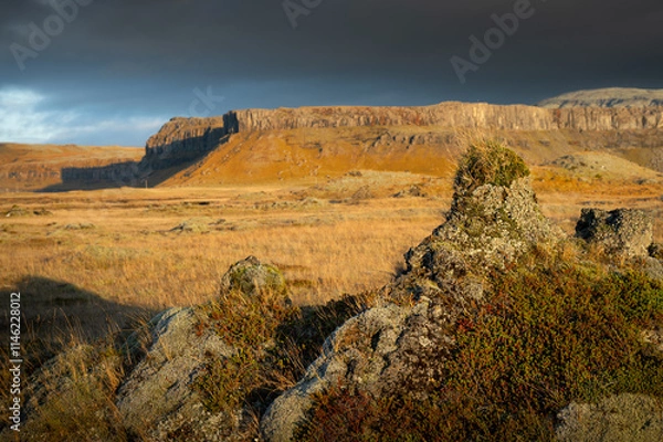 Obraz Golden Fields and Rocky Terrain in Icelandic Highlands