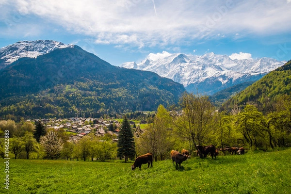Obraz Chamonix valley