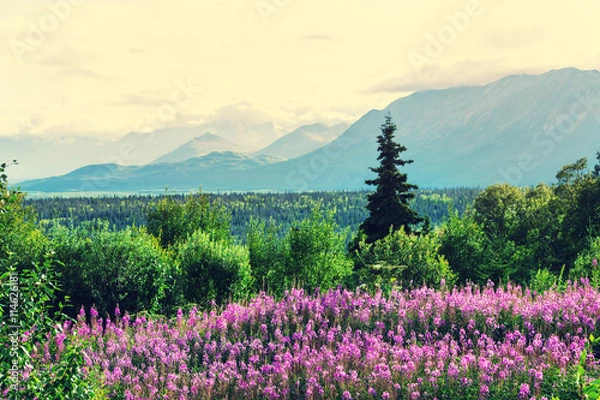 Obraz Mountains in Alaska