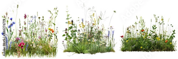 Obraz A vibrant display of diverse wildflowers showcasing various colors and shapes, creating a lush, natural environment.