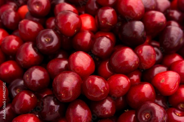 Obraz red cherry background.  Red ripe delicious cherries