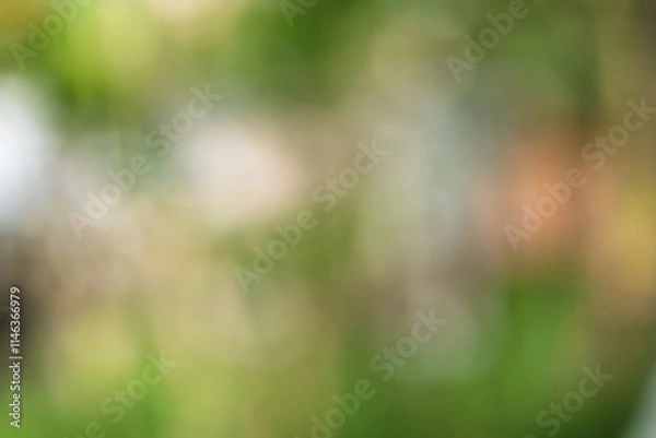 Obraz Bokeh Foliage Gradient Nature Background