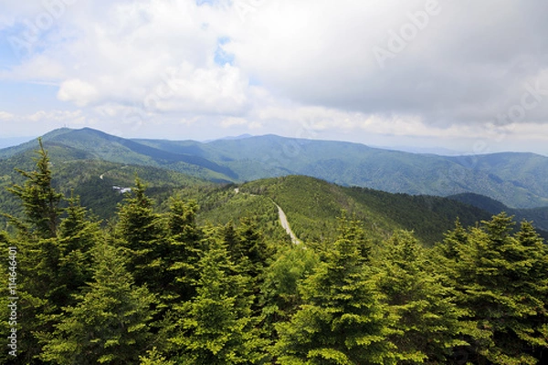 Obraz Mount Mitchell with a View of the Blue Ridge Parkway Road