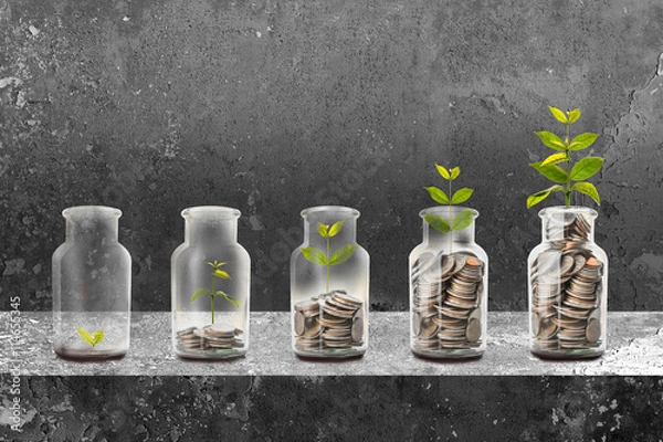 Obraz Saving money concept