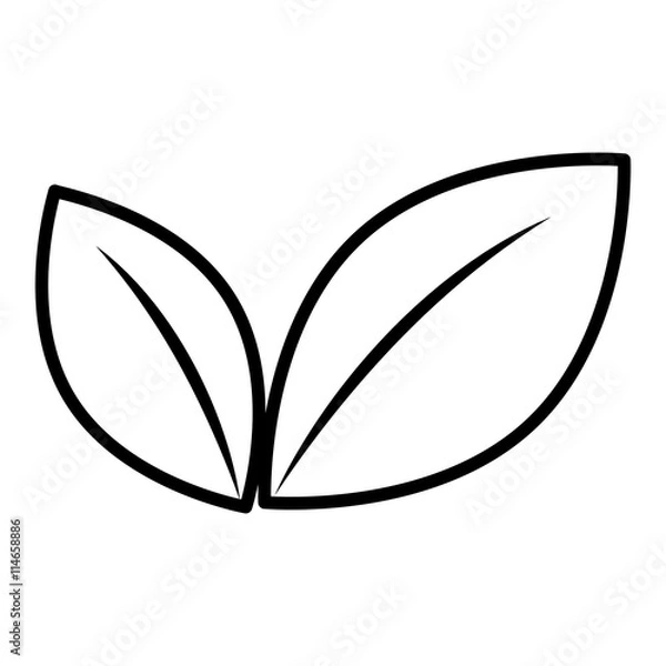 Fototapeta black and white flower leaves front view over isolated background, vector illustration 