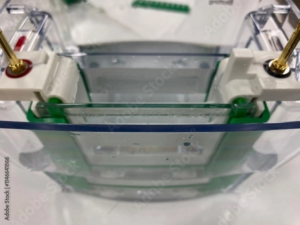 Obraz protein and dna size separation apparatus, sds page, purity analysis of pooled fraction, protein solution extraction, agarose gel, biochemistry.