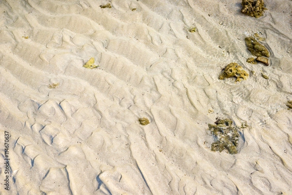 Fototapeta the beach texture