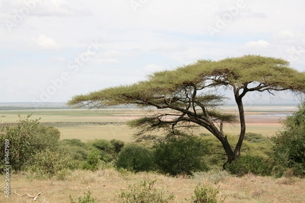 Obraz Landschaft in Afrika