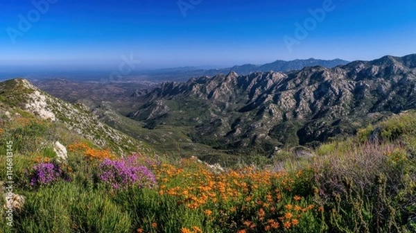 Fototapeta Panoramic view of mountain range with wildflowers in foreground under clear blue sky.