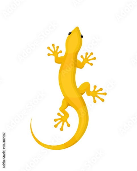 Obraz Yellow lizard gecko on a white background	