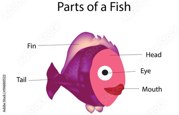 Fototapeta Parts of a fish in vector Art