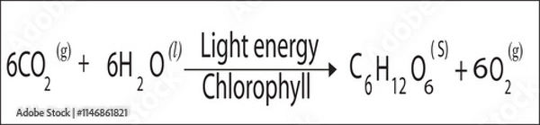 Fototapeta Formula of glucose formation (molecular formula of glucose )