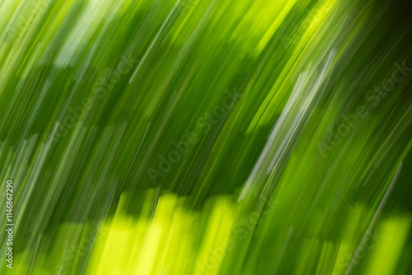 Obraz Abstract camera panning green fantasy