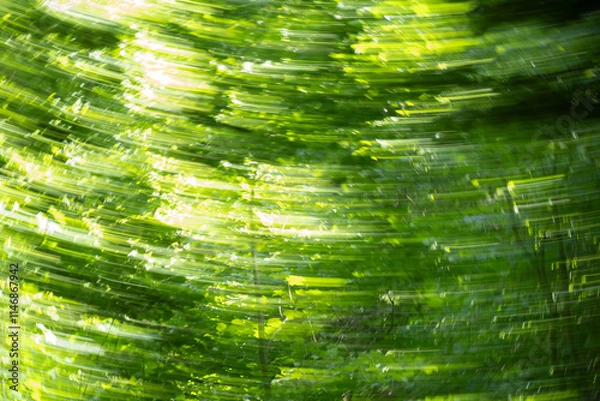 Obraz Abstract strom in the forest