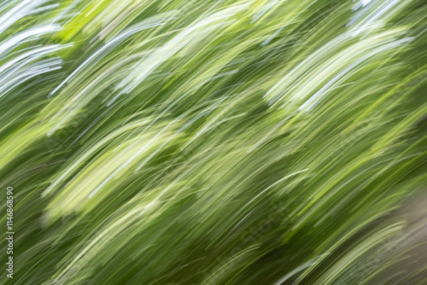 Obraz Abstract impression green strokes