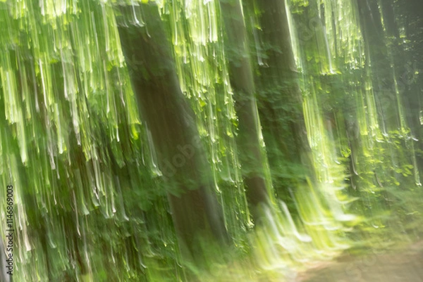 Obraz Abstract fantasy sunlit forest