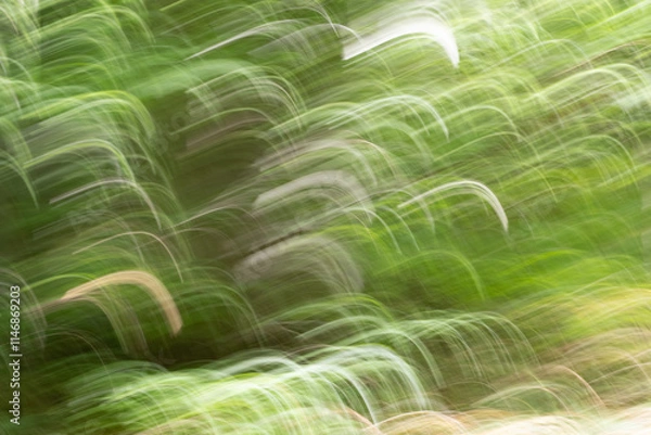 Obraz Abstract fantasy green waves