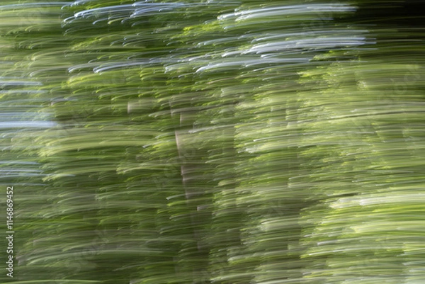 Obraz Impressionistic green strokes