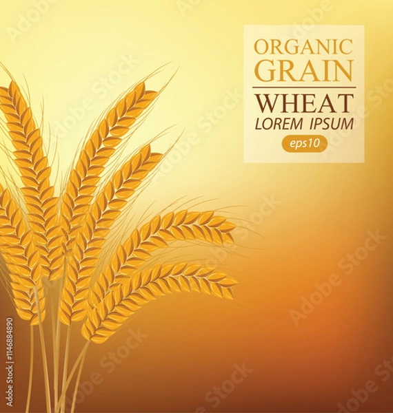Fototapeta Ears of wheat. Vector illustration.