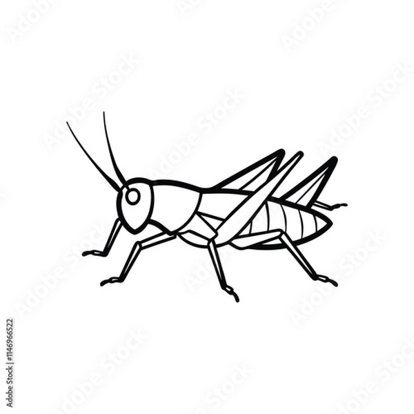 Fototapeta A grasshopper vector illustration
