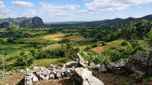 Fototapeta beautiful surroundings of Vinales, Cuba  view of the tobacco fields 