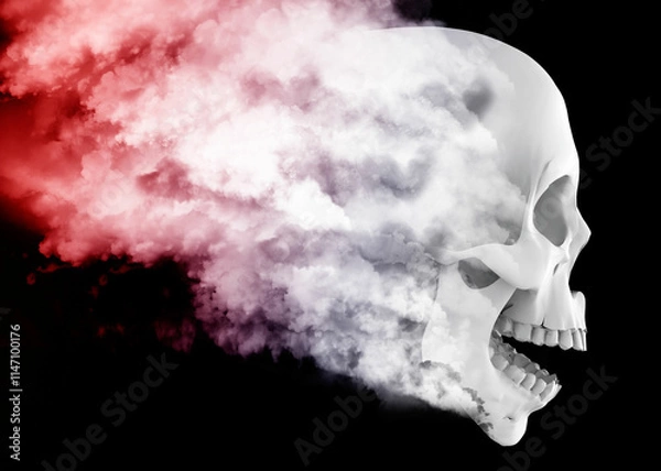 Fototapeta Skull wrapped in the mists of time - 3D