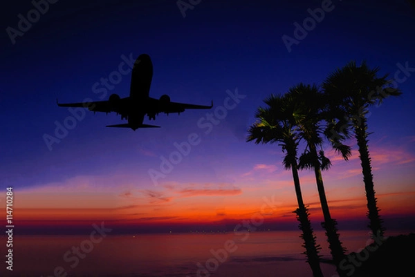Fototapeta Silhouette sugar palm trees on beach and plane fly at twilight.