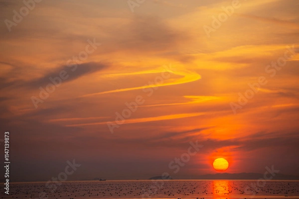 Fototapeta 夕方の明石の海の風景