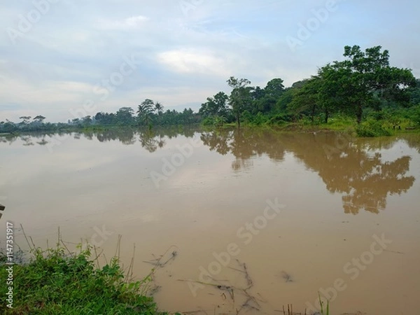 Obraz lake in the forest
