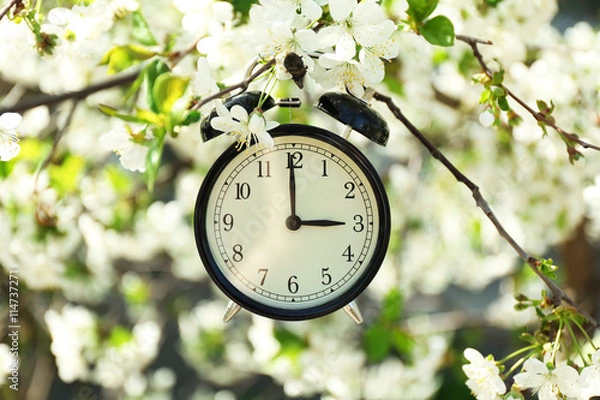 Fototapeta Alarm clock in spring blooming branches