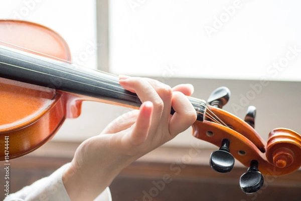 Obraz バイオリンを持つ美しい日本人女性