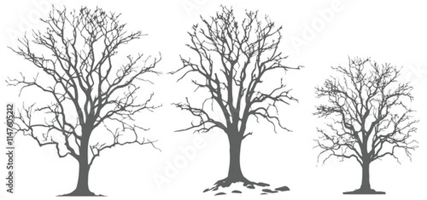 Obraz silhouette of a tree Tree without leaves silhouettes bundle Set of scary tree dead tree silhouettes vector