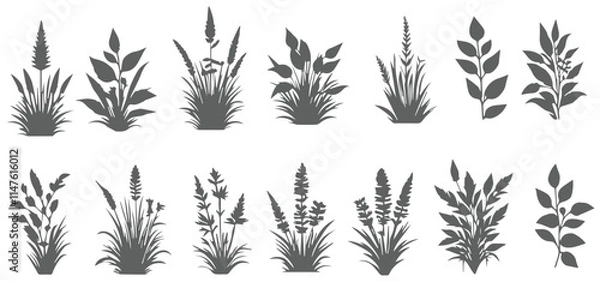 Obraz silhouette Wild Flower Grass Design Vector Set. A diverse collection of wild flower grass designs vector