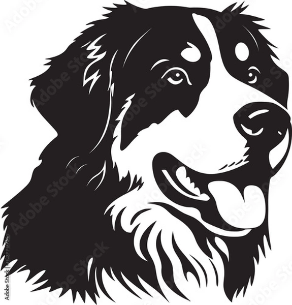 Obraz Bernese Mountain Dog Silhouette Vector Illustration White Background