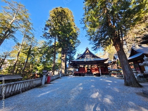 Obraz 三峯神社　早朝の境内