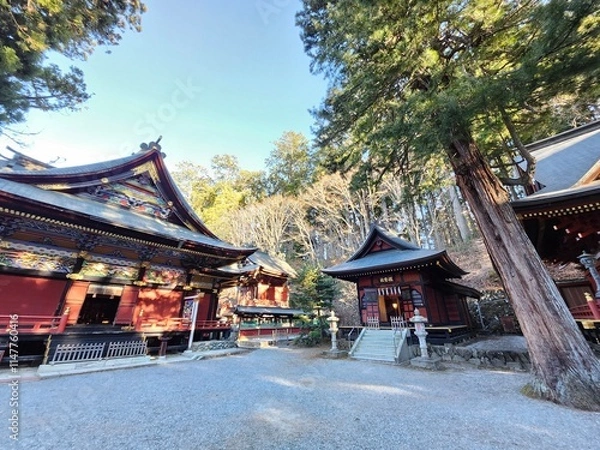 Obraz 三峯神社　早朝の境内