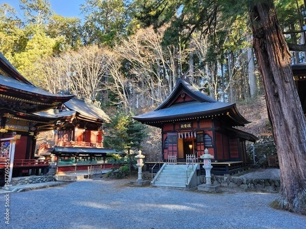 Obraz 三峯神社　早朝の境内