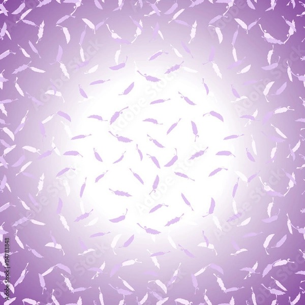 Obraz Romantic background with feathers