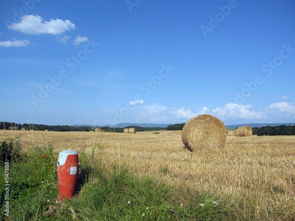Obraz bouche d'incendie