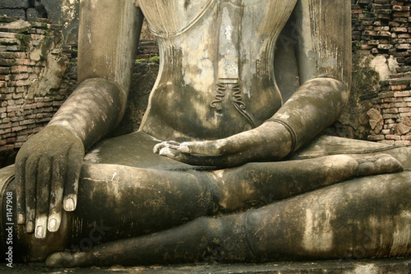 Fototapeta enlightened one