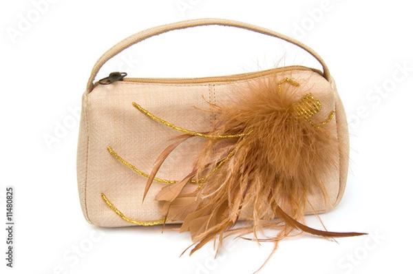 Obraz Beige decorated handbag