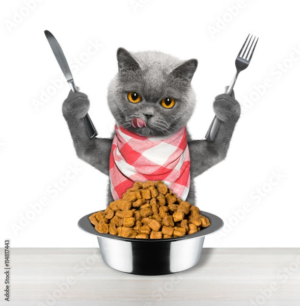 Fototapeta cat going to eat and hold knife and fork
