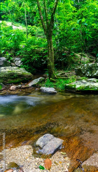 Obraz river in the forest