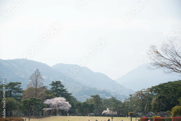 Obraz 別府市　別府公園