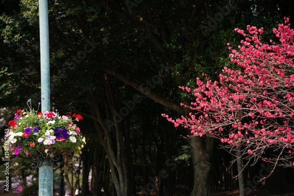 Obraz 別府市　別府公園