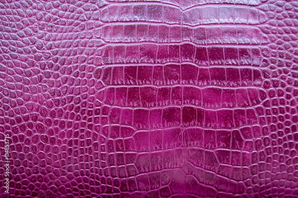 Obraz crocodile skin color