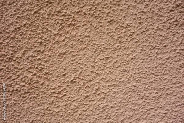 Fototapeta Rosa Rauputz