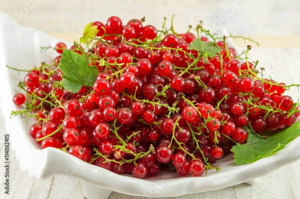 Fototapeta Fresh currant red fruit on a plate