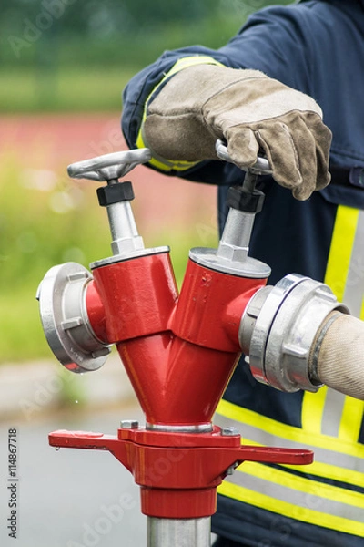 Obraz Firefighter Hydran