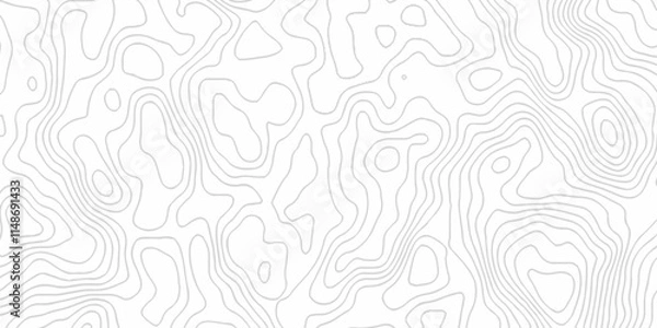 Fototapeta White topography topology vector white background fresh contour map texture. white seamless pattern Abstract background with a wave Topography and geography map grid abstract backdrop.